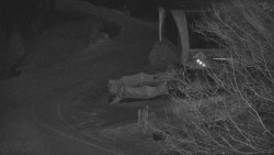 Lanovka - výstupní stanice