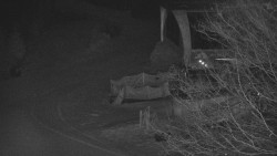 Lanovka - výstupní stanice