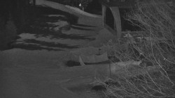 Lanovka - výstupní stanice