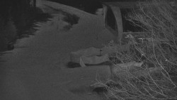 Lanovka - výstupní stanice