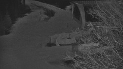 Lanovka - výstupní stanice