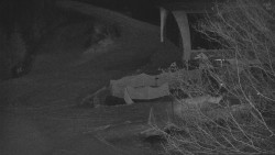 Lanovka - výstupní stanice