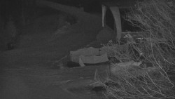 Lanovka - výstupní stanice