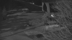 Lanovka - výstupní stanice