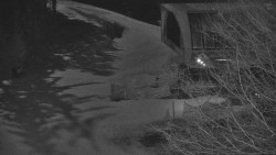 Lanovka - výstupní stanice