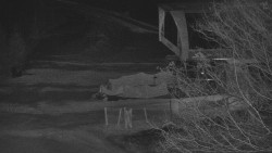 Lanovka - výstupní stanice