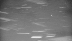 Lanovka - výstupní stanice