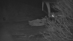 Lanovka - výstupní stanice