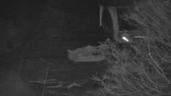 Lanovka - výstupní stanice