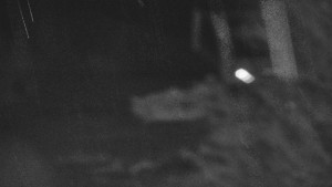 Skiareál Bílá - Lanovka - výstupní stanice - 14.4.2026 v 21:01 Skiareál Bílá - Lanovka - výstupní stanice - 14.4.2026 v 21:01