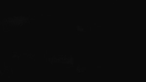 Skiareál Bílá - Sdružený snímek - 5.11.2024 v 03:00 Skiareál Bílá - Sdružený snímek - 5.11.2024 v 03:00