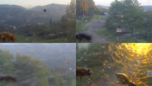 Skiareál Bílá - Sdružený snímek - 14.6.2025 v 05:00 Skiareál Bílá - Sdružený snímek - 14.6.2025 v 05:00