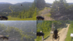 Skiareál Bílá - Sdružený snímek - 14.6.2025 v 16:00 Skiareál Bílá - Sdružený snímek - 14.6.2025 v 16:00