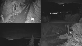 Snímek    29.10.2025 v 20:01