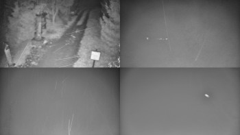 Snímek    3.11.2025 v 02:31