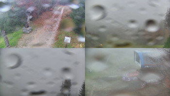 Snímek    3.11.2025 v 07:31