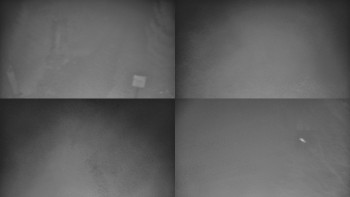 Snímek    4.11.2025 v 05:31