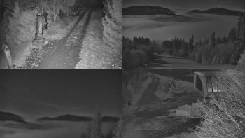 Snímek 5.11.2025 v 04:31