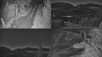 Snímek 6.11.2025 v 05:31