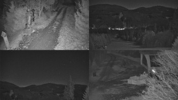 Snímek 7.11.2025 v 22:31