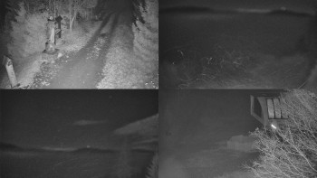 Snímek 8.11.2025 v 20:01