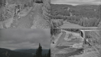 Snímek 9.11.2025 v 16:31