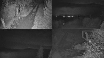 Snímek 14.11.2025 v 02:31