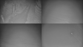 Snímek 14.11.2025 v 03:01