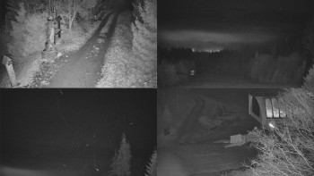 Snímek 15.11.2025 v 05:01