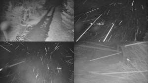 Skiareál Bílá - Sdružený snímek - 18.11.2025 v 01:31 Skiareál Bílá - Sdružený snímek - 18.11.2025 v 01:31