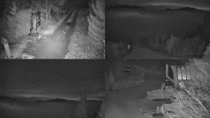 Skiareál Bílá - Sdružený snímek - 10.12.2025 v 01:01 Skiareál Bílá - Sdružený snímek - 10.12.2025 v 01:01