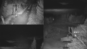 Skiareál Bílá - Sdružený snímek - 10.12.2025 v 22:31 Skiareál Bílá - Sdružený snímek - 10.12.2025 v 22:31