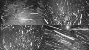 Skiareál Bílá - Sdružený snímek - 31.12.2025 v 20:01 Skiareál Bílá - Sdružený snímek - 31.12.2025 v 20:01