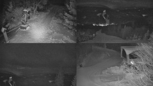 Skiareál Bílá - Sdružený snímek - 7.1.2026 v 02:01 Skiareál Bílá - Sdružený snímek - 7.1.2026 v 02:01