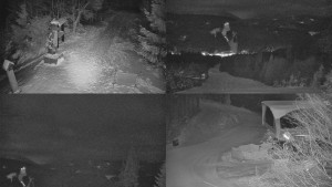 Skiareál Bílá - Sdružený snímek - 7.1.2026 v 04:01 Skiareál Bílá - Sdružený snímek - 7.1.2026 v 04:01