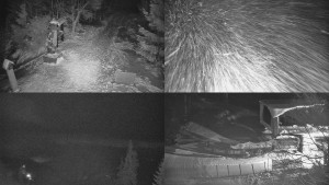 Skiareál Bílá - Sdružený snímek - 7.1.2026 v 17:31 Skiareál Bílá - Sdružený snímek - 7.1.2026 v 17:31