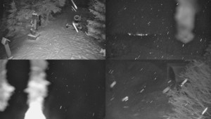 Skiareál Bílá - Sdružený snímek - 30.1.2026 v 00:01 Skiareál Bílá - Sdružený snímek - 30.1.2026 v 00:01