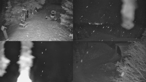 Skiareál Bílá - Sdružený snímek - 30.1.2026 v 01:01 Skiareál Bílá - Sdružený snímek - 30.1.2026 v 01:01