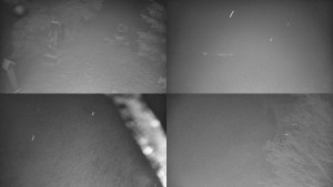 Skiareál Bílá - Sdružený snímek - 30.1.2026 v 03:01 Skiareál Bílá - Sdružený snímek - 30.1.2026 v 03:01