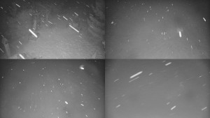 Skiareál Bílá - Sdružený snímek - 8.2.2026 v 01:01 Skiareál Bílá - Sdružený snímek - 8.2.2026 v 01:01