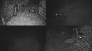 Skiareál Bílá - Sdružený snímek - 11.2.2026 v 00:31 Skiareál Bílá - Sdružený snímek - 11.2.2026 v 00:31