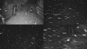 Skiareál Bílá - Sdružený snímek - 11.2.2026 v 01:31 Skiareál Bílá - Sdružený snímek - 11.2.2026 v 01:31