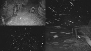 Skiareál Bílá - Sdružený snímek - 11.2.2026 v 02:01 Skiareál Bílá - Sdružený snímek - 11.2.2026 v 02:01