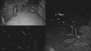 Skiareál Bílá - Sdružený snímek - 11.2.2026 v 03:31 Skiareál Bílá - Sdružený snímek - 11.2.2026 v 03:31