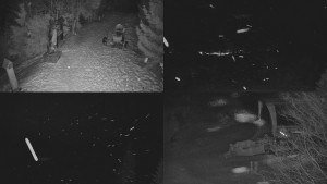 Skiareál Bílá - Sdružený snímek - 11.2.2026 v 04:01 Skiareál Bílá - Sdružený snímek - 11.2.2026 v 04:01