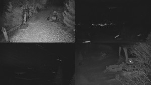 Skiareál Bílá - Sdružený snímek - 11.2.2026 v 04:31 Skiareál Bílá - Sdružený snímek - 11.2.2026 v 04:31