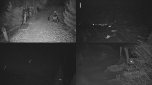 Skiareál Bílá - Sdružený snímek - 11.2.2026 v 05:01 Skiareál Bílá - Sdružený snímek - 11.2.2026 v 05:01