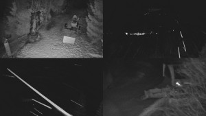 Skiareál Bílá - Sdružený snímek - 13.2.2026 v 04:01 Skiareál Bílá - Sdružený snímek - 13.2.2026 v 04:01