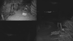 Skiareál Bílá - Sdružený snímek - 13.2.2026 v 06:01 Skiareál Bílá - Sdružený snímek - 13.2.2026 v 06:01