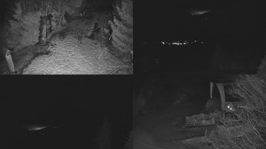 Skiareál Bílá - Sdružený snímek - 24.2.2026 v 00:01 Skiareál Bílá - Sdružený snímek - 24.2.2026 v 00:01